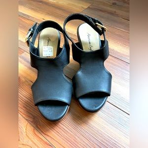 American eagle wedges